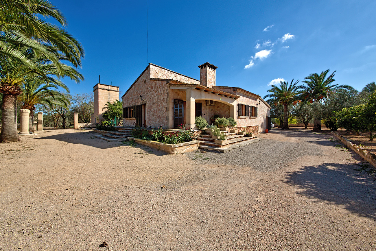 Finca con piscina y olivar en Campos